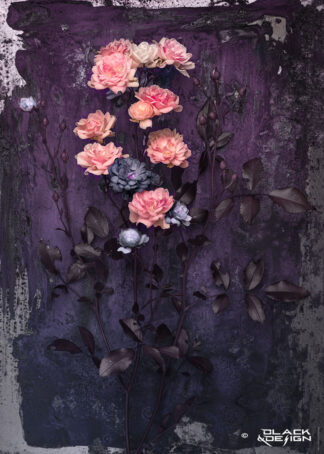 Digital fotokonst på rosa minirosor mot en mörk färgskala i lila toner