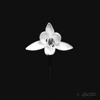 Gul Lilja - svartvit, fotokonst på Black & Design av Garip Jensen