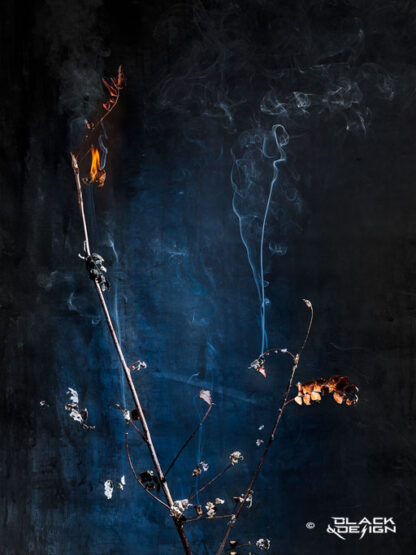 Höst upp i rök - foto på höstlöv på kvistar som bränns upp i fotostudio. 30x40 beskärning