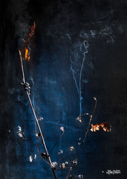 Höst upp i rök - foto på höstlöv på kvistar som bränns upp i fotostudio