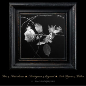 Premium-selection Blackened Opulence - En läcker bränd ram med motivet "Ros med taggtråd" i svartvitt på syrafritt Fine Art Papper.
