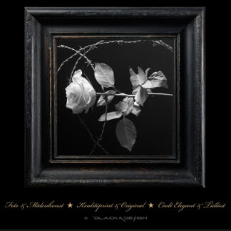 Premium-selection Blackened Opulence - En läcker bränd ram med motivet "Ros med taggtråd" i svartvitt på syrafritt Fine Art Papper.