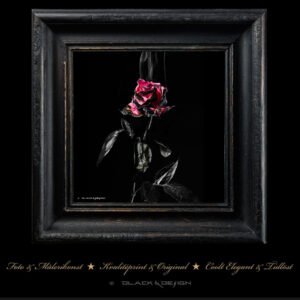 Blackened Opulence, bränd ram med motivet Rosé Éteinte