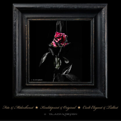 Blackened Opulence, bränd ram med motivet Rosé Éteinte